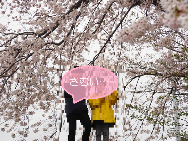 20210502桜.png