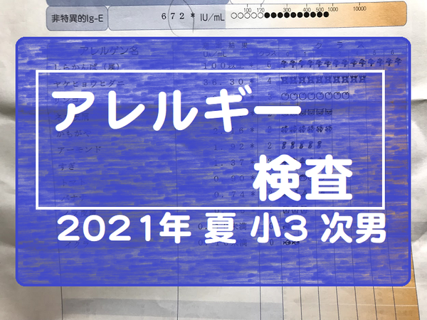 2021年夏次男小3アレルギー検査.png