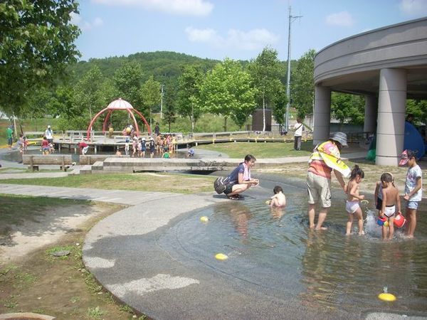 カムイの杜公園遊水池.jpg