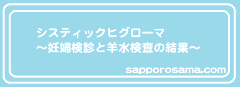 システィックヒグローマ～妊婦検診と羊水検査の結果～.png