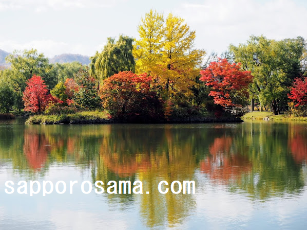 中島公園の菖蒲池と紅葉3.png
