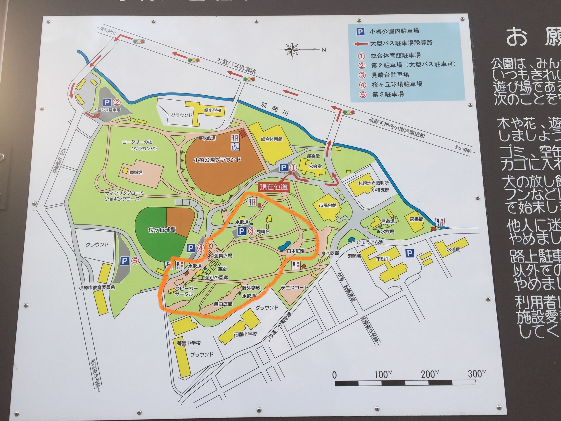 小樽公園こどもの国ゾーン の遊具や駐車場 美しい景観を丸ごと紹介 札幌で子育て