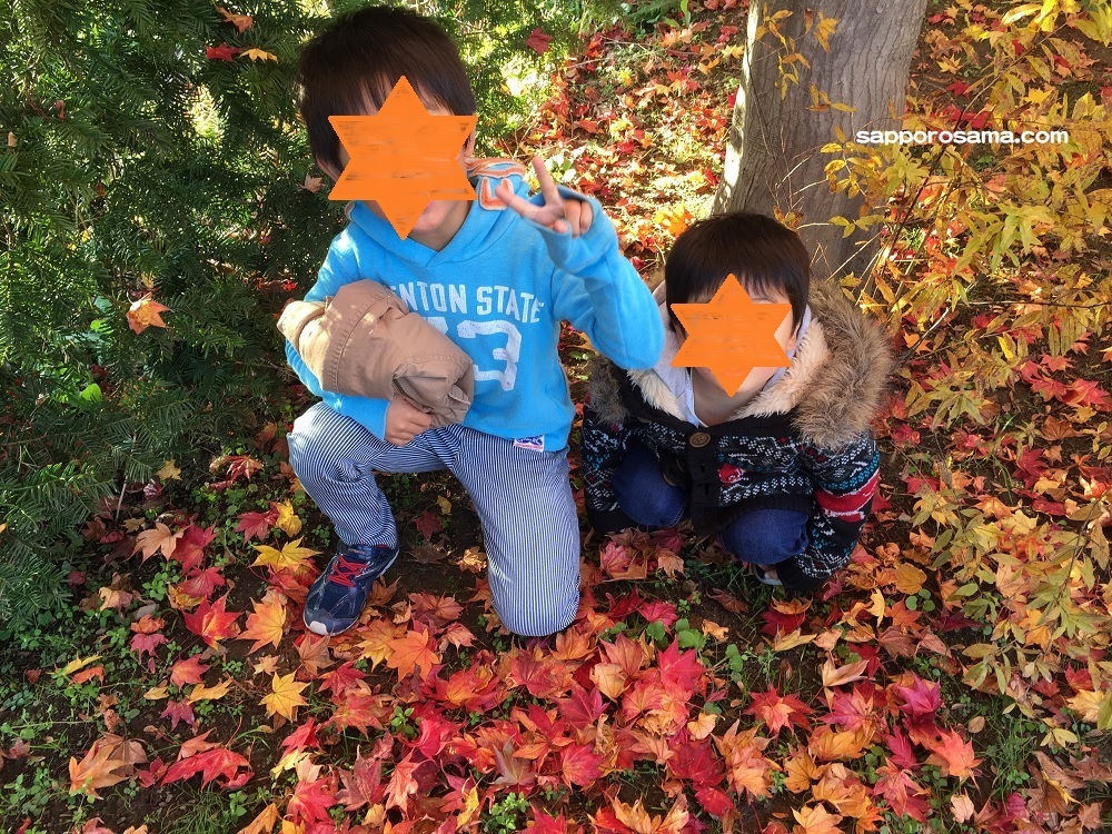 子連れ紅葉スポットにおすすめ 遊具も充実 札幌市北区 百合が原公園 世界の庭園 札幌で子育て