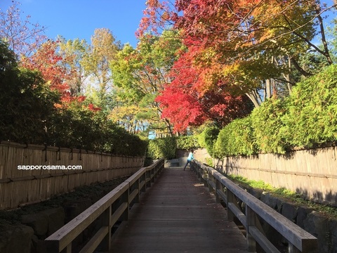 百合が原公園世界の庭園日本庭園１.JPG