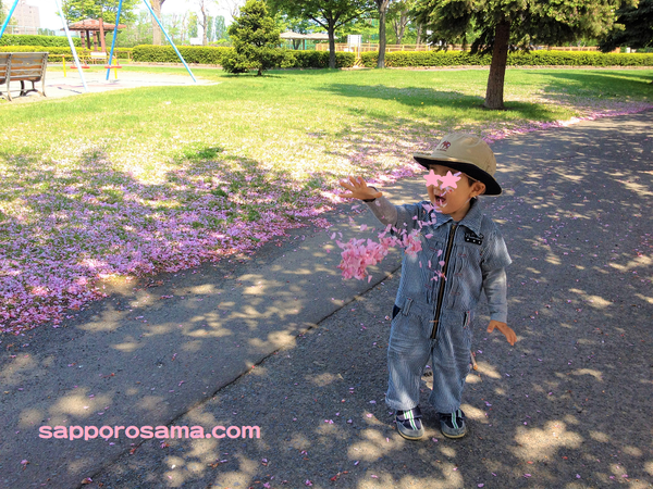 農試公園の桜（2012年5月24日）.png