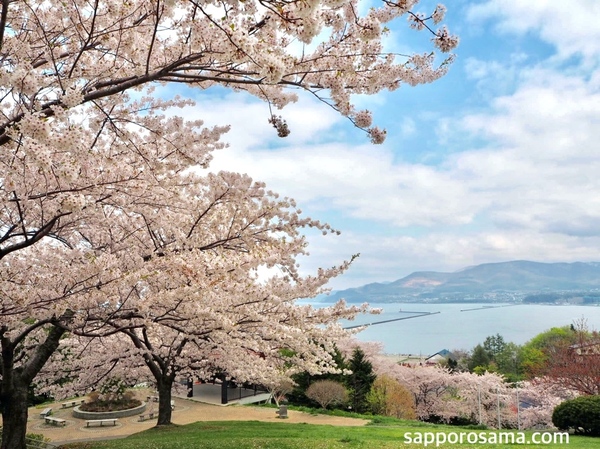 小樽手宮公園・手宮緑化植物園の桜と海