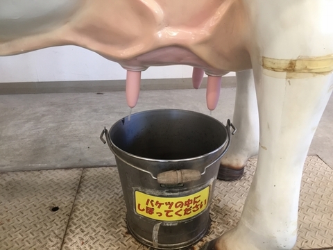 サッポロさとらんどミルクの郷【牛の館】搾乳体験